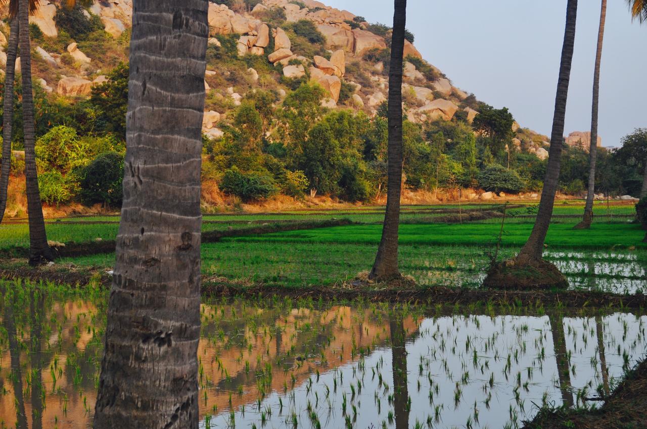 Uma Shankar Hampi Exterior photo